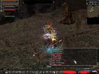 Netis Abusing