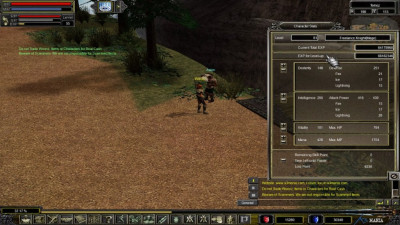 lvl 81 mage char